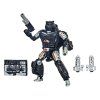 Transformers Vojna z Cybertronu Tajný agent Ravage + Decepticon Forever Ravage figúrky 15cm