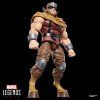 Marvel Legends Series Inhumans Medusa & Gorgon pack 2 figúrky