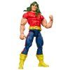 Séria Marvel Legends: Neuvěřitelný Hulk – figurka Marvels DOC Samson, 15 cm