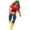 Séria Marvel Legends: Neuvěřitelný Hulk – figurka Marvels DOC Samson, 15 cm
